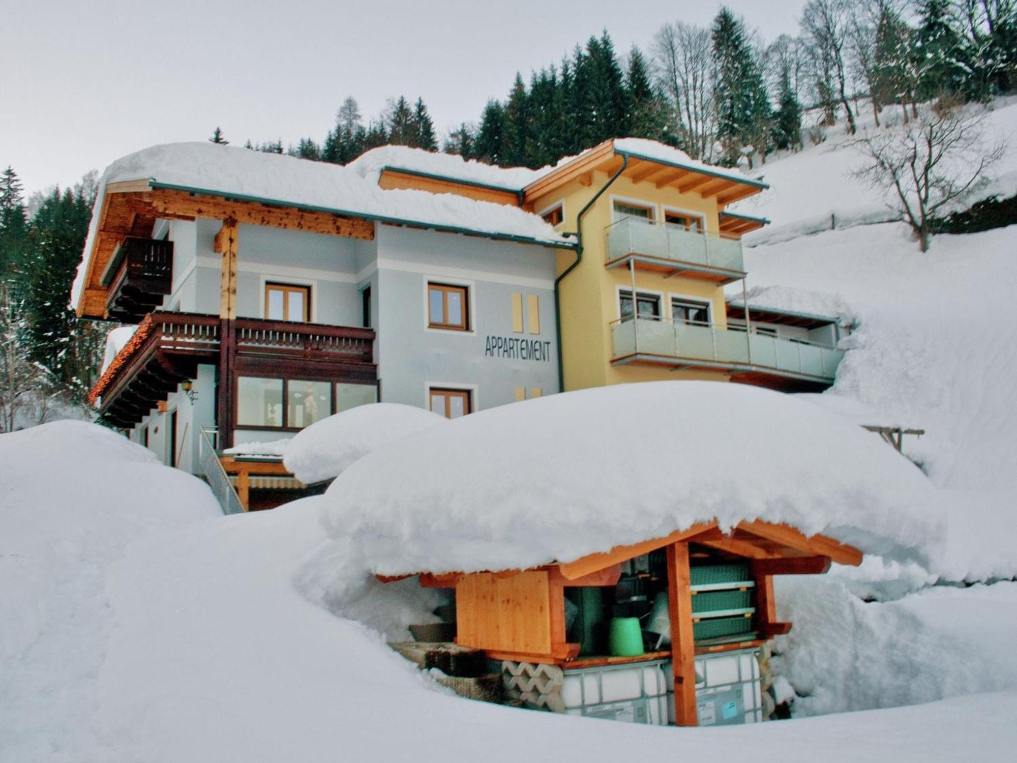 Beautiful Apartment In Zell Am See Near Ski Area Dış mekan fotoğraf